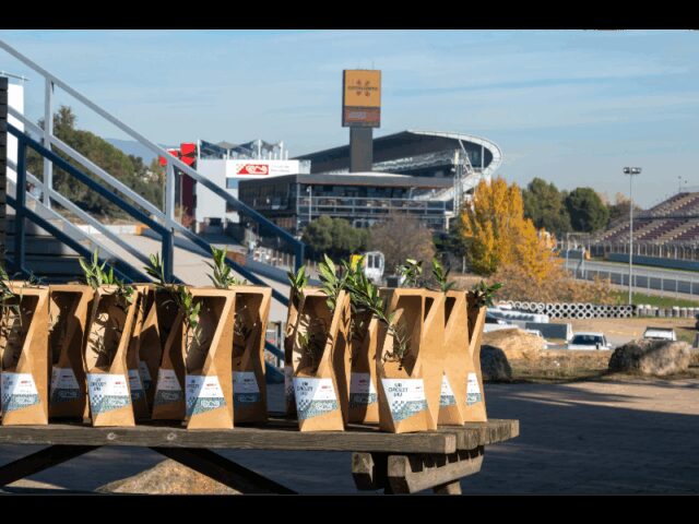 El_Circuit_de_Barcelona-Catalunya_impulsa_la_biodiversitat_amb_la_plantacio_de_200_arbres.jpg
