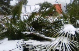 Castelldefels activa la fase de prealerta per risc de nevades