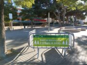 L’Ajuntament habilita 11 punts per a la recollida d’ arbres de Nadal
