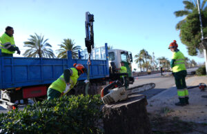 Desactiven l’alerta del Ventcat després de dos episodis amb més de 1.100 serveis de Bombers i una víctima mortal