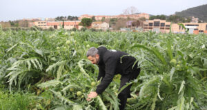 El pressupost d’Agricultura té 90 milions pels regadius i 33 milions per ajudar als agricultors davant el canvi climàtic