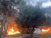 VÍDEO | Incendi espectacular a tocar de Castelldefels: cau un arbre sobre un cotxe a Gavà Mar pel vent extrem