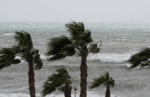 Alerta de ventades a Castelldefels: mesures de precaució