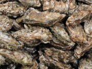 El sector de les ostres impulsa la diversitat aquàtica i creix al mercat urbà
