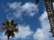Rebuig de les al·legacions de Castelldefels al Pla d’Acció contra el soroll de l’Aeroport
