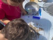La Jugatecambiental de Castelldefels inicia la seva programació de primavera 2026