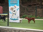 Inauguració d’un nou parc caní a l’Avinguda Málaga de Castelldefels