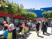 La Festa de Primavera a Vista Alegre omple de diversió i convivència familiar