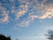 Alertes per alts nivells d’ozó troposfèric a Castelldefels