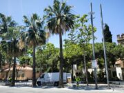 La plaça de l’Església millora la seva zona d’ombratge aquest estiu