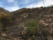 Castelldefels activa la pre-alerta per risc elevat d’incendi forestal