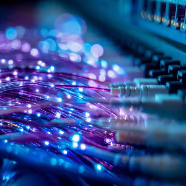 mercado_fibra_sector_digital-1x1.jpg