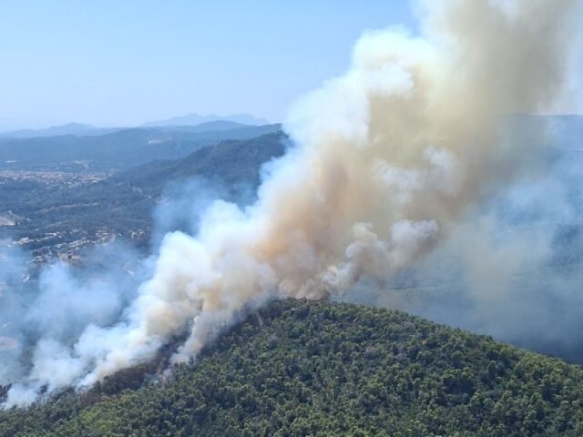 noticia_1783355463.jpg