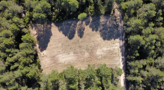 requena_utiel_incendio-1x1.jpg